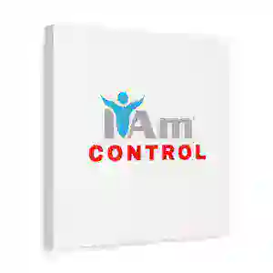 Inspirational wall art with 'I Am Control' message for home decor.