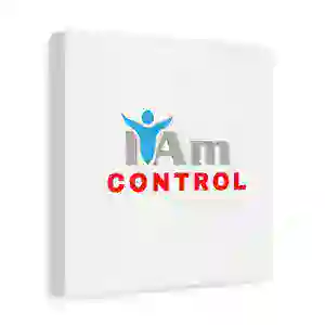 Inspirational wall art with 'I Am Control' message for home decor.