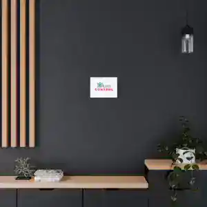 Minimalist wall decor with 'I Am Control' artwork in modern interior.