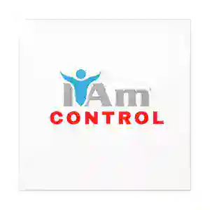 Inspirational wall art with 'I Am Control' message for home decor.