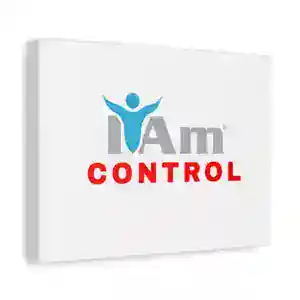 Inspirational wall art with 'I Am Control' message for home decor.