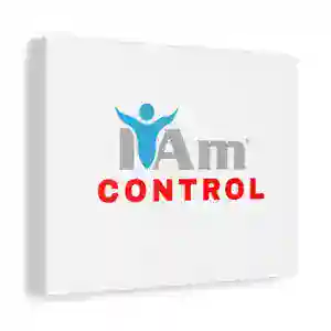 Inspirational wall art with 'I Am Control' message for home decor.