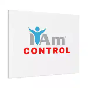 Inspirational wall art with 'I Am Control' message for home decor.