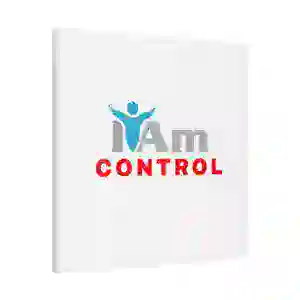 Inspirational wall art with 'I Am Control' message for home decor.