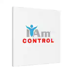 Inspirational wall art with 'I Am Control' message for home decor.