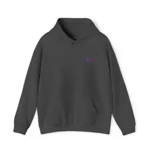 Embroidered hoodie with 'I Am Knowledge' text in blue and red on front.