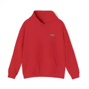 Red hoodie with embroidered 'I Am Correct' text and small flag logo.